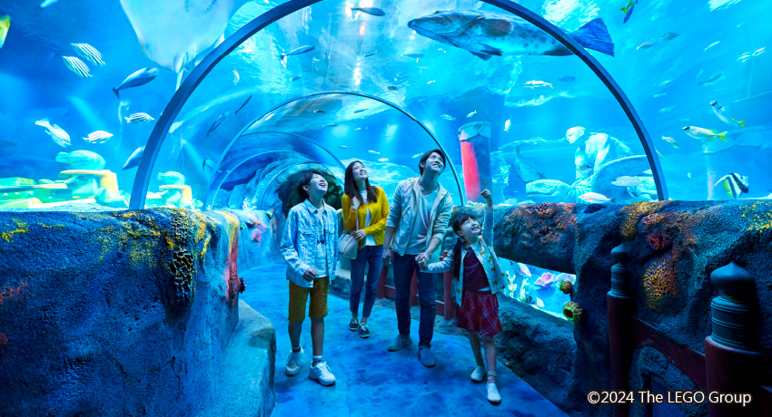 LEGO SEA LIFE樂高水族館